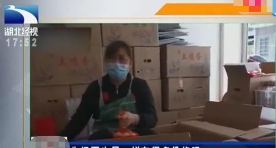 鸡场老板爆料事件视频完整版,揭秘养殖行业黑幕,完整版视频曝光惊人内幕 第1张 鸡场老板爆料事件视频完整版,揭秘养殖行业黑幕,完整版视频曝光惊人内幕 第1张