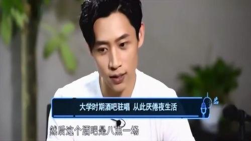 陆虎爆料魏晨视频大全集,视频大全集深度解析  第1张