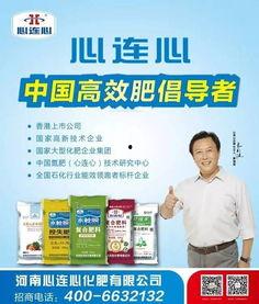 河南省农信社最新爆料,揭秘金融创新与风险防控新动态 第2张 河南省农信社最新爆料,揭秘金融创新与风险防控新动态 第2张