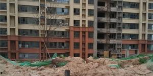 德州楼市爆料最新消息视频,揭秘视频爆料背后的真相 第2张 德州楼市爆料最新消息视频,揭秘视频爆料背后的真相 第2张